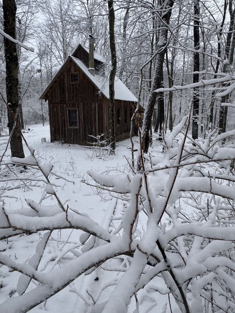 A small wooden sugar house in a snowy forest