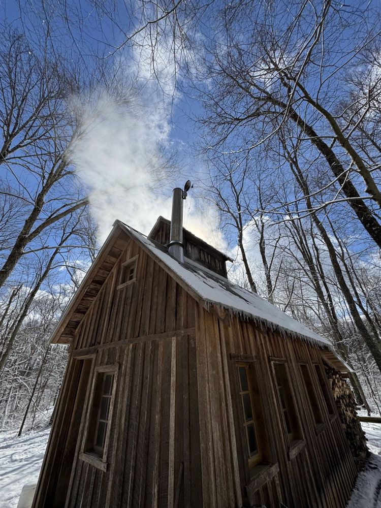 Steam rising from the sugar house chimney into a blue sky between tall bare trees