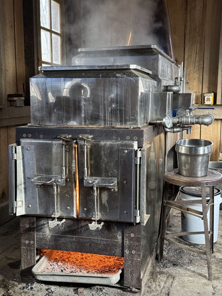A stainless steel wood-fired evaporator with glowing coals below, inside the sugar house