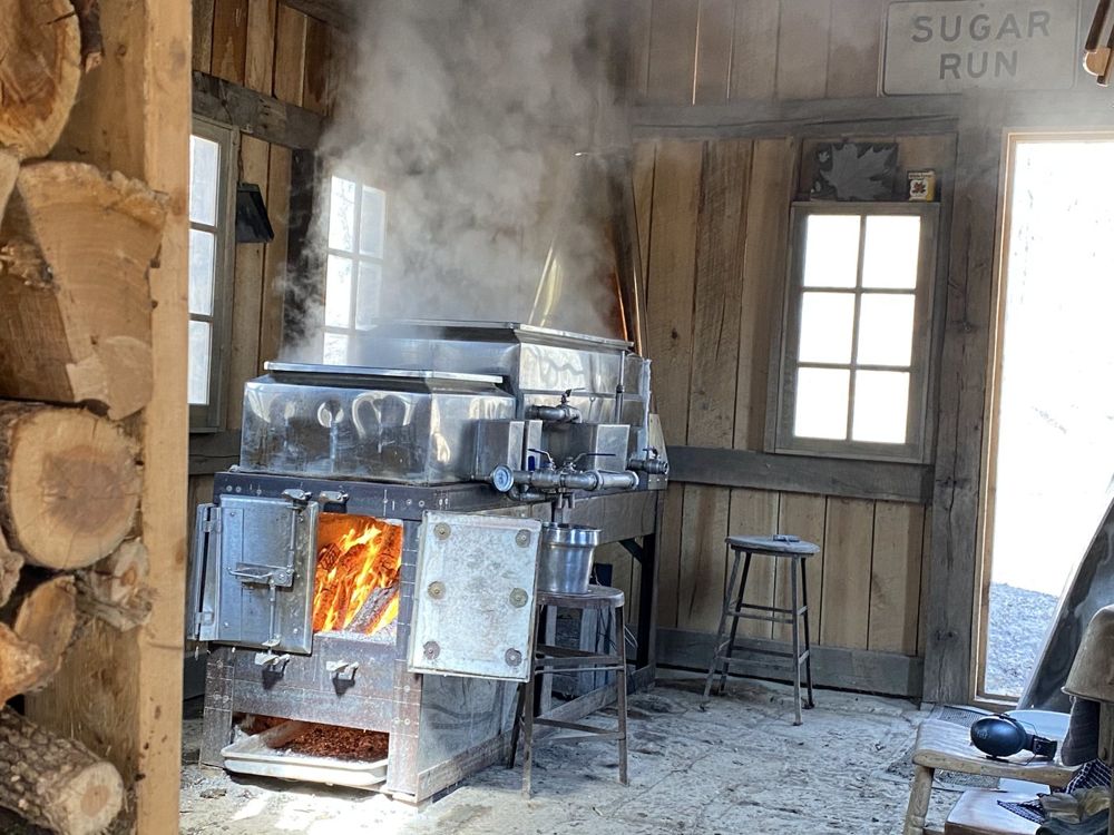 Fire burning in the evaporator firebox with split firewood stacked beside it
