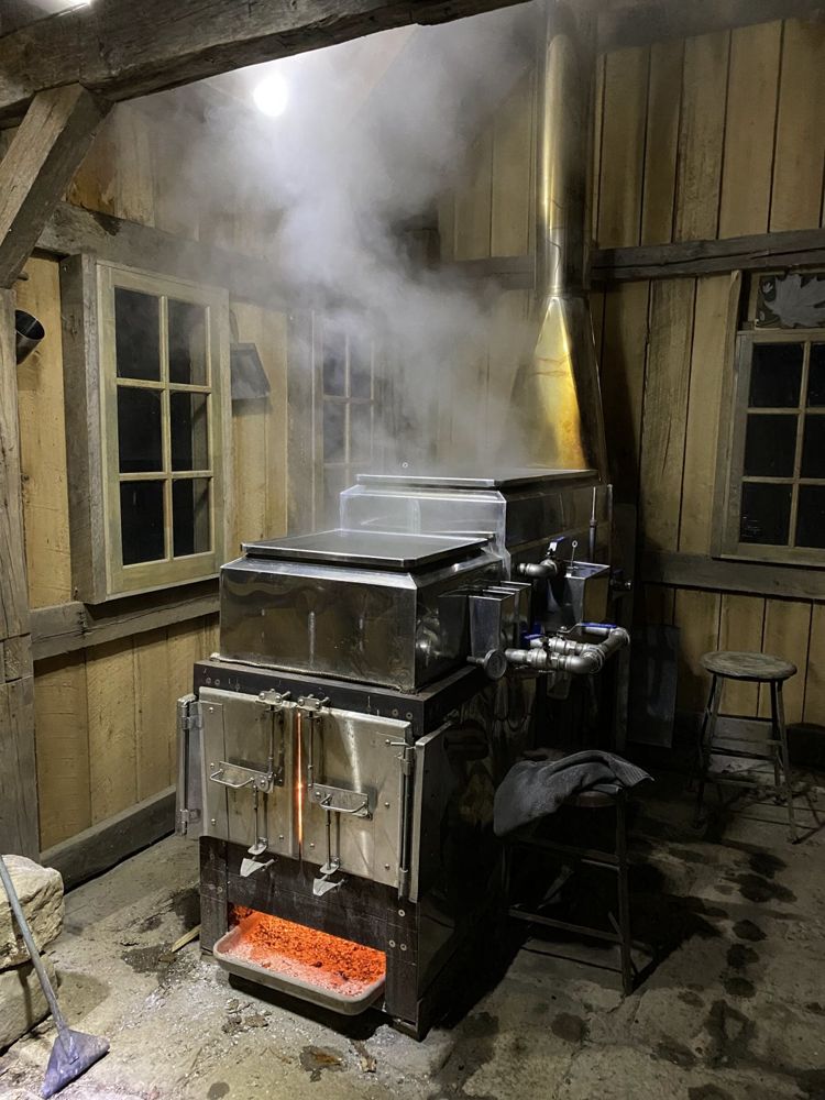 Steam filling the timber-framed sugar house around the evaporator